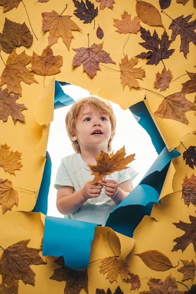 Söt liten pojke förbereder för solig höstdag. Hej hösten. Drömmar. — Stockfoto