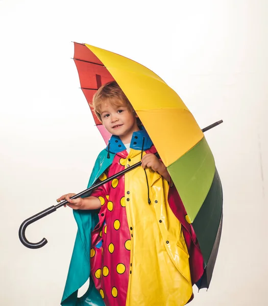 El estado de ánimo de otoño y el clima son cálidos y soleados y la lluvia es posible. Gente bajo la lluvia. Objeto aislado sobre fondo blanco . — Foto de Stock