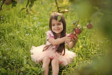 Tazelik, taze meyve, gıda tazelik gençlik büyüme beslenme