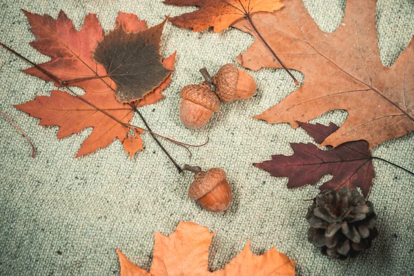 Ciao settembre. Foglia autunno tempo per la vendita di moda. Ciao Autunno e andare a fare shopping sogni. Foglia autunnale colorata e secca . — Foto Stock