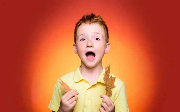 Radosti z dětství. Zrzavý chlapec hrát si s listy a při pohledu na fotoaparát. Koncept životního stylu rodiny dětství. Výraz obličeje. Legrační lidé. Portrét detail. — Stock fotografie