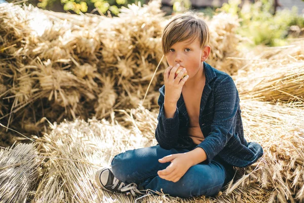 Menino bonito segurando folha de ouro no fundo da aldeia fazenda. Kid boy segurando maçã e se deita no feno . — Fotografia de Stock