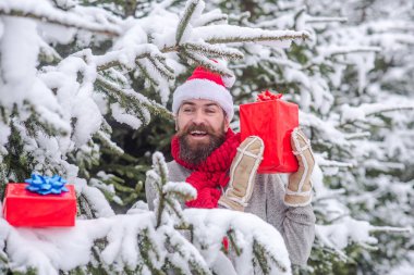 Sakallı adam santa şapka, yeni yıl.
