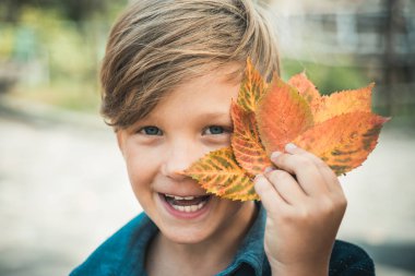 Yaprakları ile oynama ve kameraya arıyorum küçük boy gülümseyerek. Yakın çekim portre. Çocuk çocuk saman üzerinde yatıyor. Çiftlik köyü zemin üzerine altın varak tutan şirin küçük çocuk çocuk.