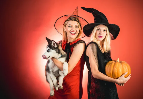 魔女帽子と赤の背景にハロウィン衣装に驚いた女性は。ハロウィーンの衣装で魅力的なモデルの女の子。ハロウィーン パーティーや休日の概念. — ストック写真