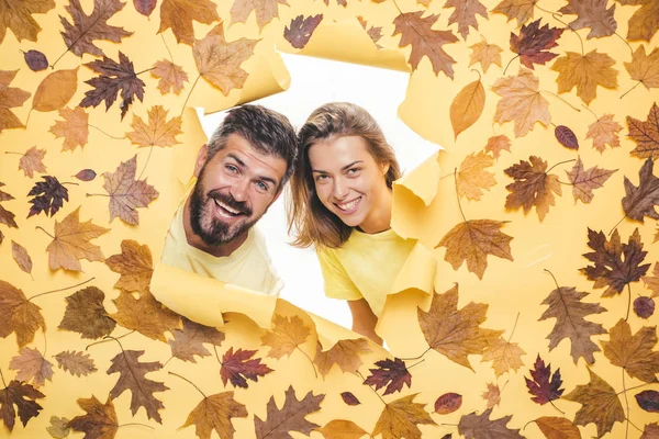 Autumn couple wearing in autumn clothes and looks very sensually. Romantic couple wearing pullover on autumn leaves background. Joyful couple is happy with the last warm days of autumn.