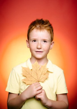Leaf fall ile eğleniyor çocuk. Sonbahar ruh hali ve hava sıcak ve güneşli ve yağmur mümkündür. Kızıl saçlı güzel şirin çocuk portresi. Yaprakları ile oynama ve kameraya arıyorum boy gülümseyerek.