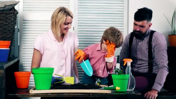 El niño, junto con sus padres, está plantando flores en macetas. El niño con sus padres mira el microscopio. Concepto de ocio familiar . — Vídeos de Stock