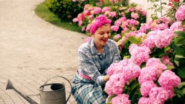 Bir kadın bir ülke evde pembe çiçekler için umurunda değil. Çiçekler için bakım kavramı. İnanılmaz derecede güzel yemyeşil tomurcukları bir kadın evinde önemser pembe çiçek. Kadın sulama çiçekler