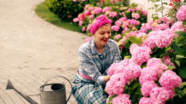 女性は カントリーハウスの中にピンクの花を気遣います 花のケアの概念です ピンクの花を彼女の家に女の世話の信じられないほど美しい緑豊かな芽 女性花の水やり — ストック動画