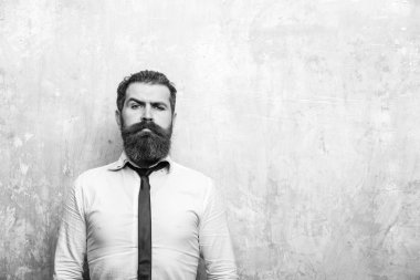 hipster veya ciddi bir yüz üzerinde uzun sakallı sakallı adam