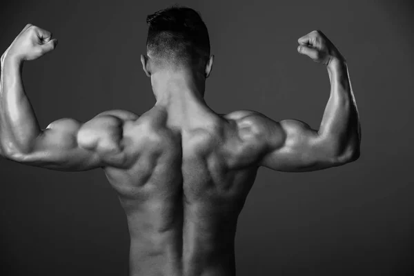 Izmos férfi mutatja a bicepsz és a tricepsz izom törzs — Stock Fotó