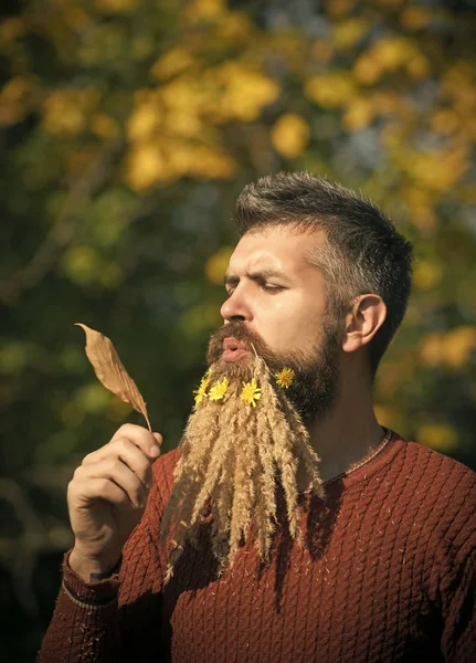Hipster or bearded guy in autumn nature outdoor.