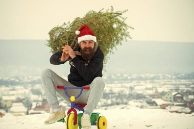 Mutlu hipster Xmas ağacı beyaz kar üzerinde taşıyan