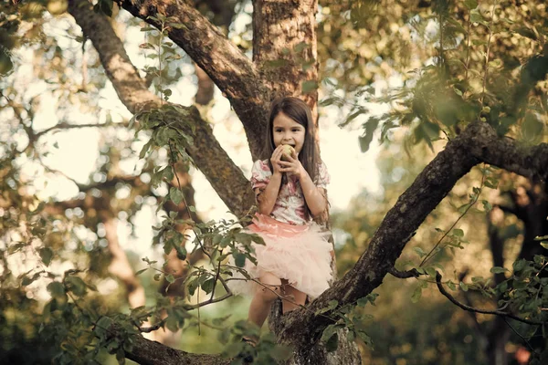 A kislány enni almát a fa kert, az élelmiszer — Stock Fotó