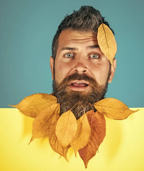 sonbahar adamla sakallı üzgün yüz üzerinde bırakır.