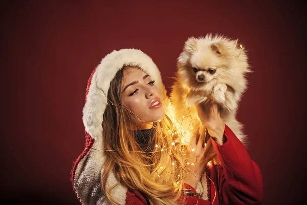 Xmas, pomeranian spitz köpekle seksi kız. — Stok fotoğraf