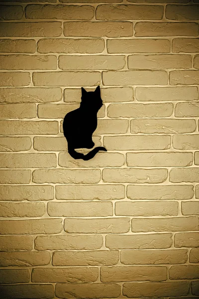 Halloween fekete macska sziluettje a fal — Stock Fotó