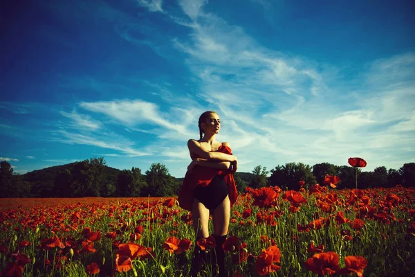 Campo de sementes de papoila com mulher — Fotografia de Stock