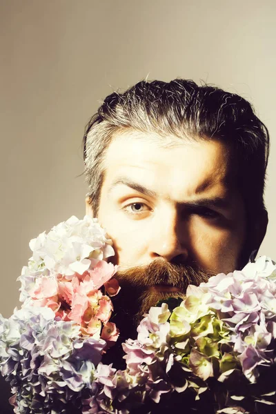 Bearded man with hydrangea flowers — Stock Photo, Image