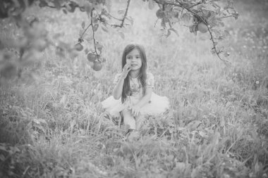 Gıda, meyve, vitamin