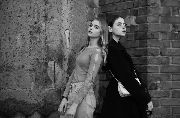 Дівчата біля цегляної фактурної стіни, краси і моди — стокове фото