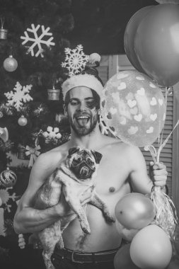 adam ile küçük köpek pug.