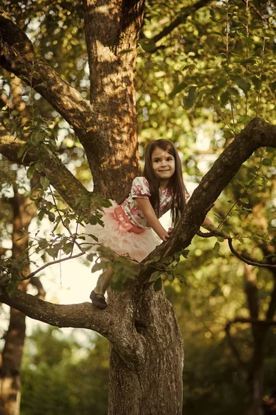 Piccola ragazza arrampicarsi albero nel giardino estivo, attività — Foto Stock