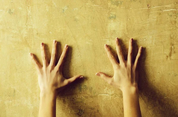 Paar van vrouwelijke handen op abstracte cement muur — Stockfoto