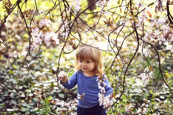 Liten pojke med blossom — Stockfoto