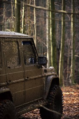 Kirli offroad araba ile düşmek orman arka plan üzerinde