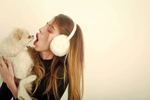 Ano Novo de cão e celebração de férias de inverno . — Fotografia de Stock