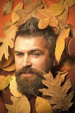 Berber ve Kuaför vasıl geçmiş bırakır.