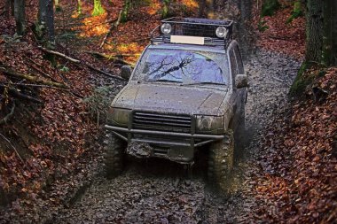 Kirli offroad araba ile düşmek orman arka plan üzerinde