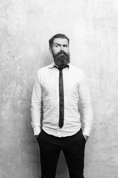 Belleza y moda, barbudo o hipster con barba larga — Foto de Stock