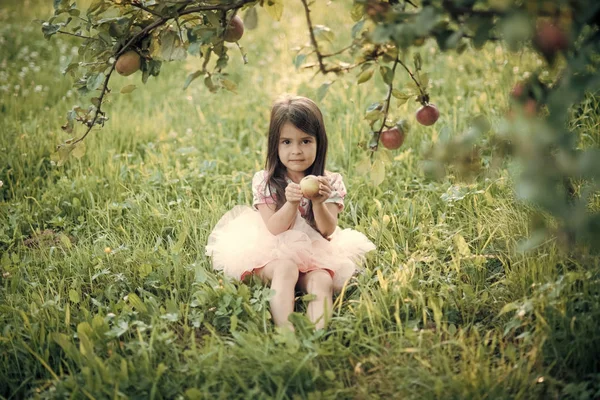 Elma ağacının altına oturma kız çocuk — Stok fotoğraf