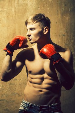 kaslı kolları kırmızı boks eldivenli adam boksör
