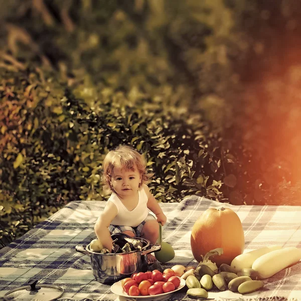 Gelukkig kind op picnic — Stockfoto