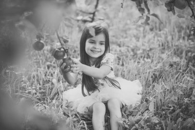 Tazelik, taze meyve, yemek