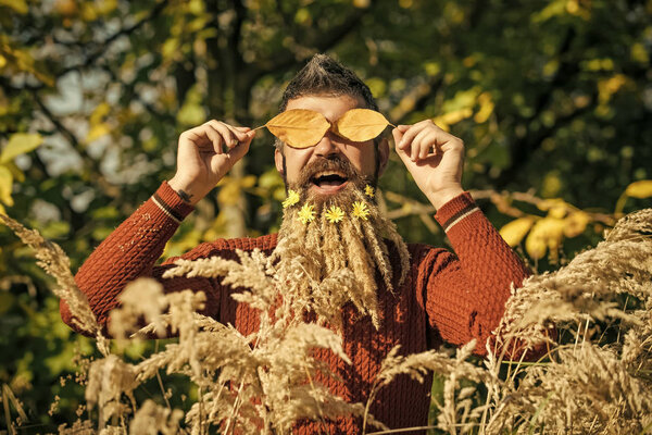 Spikelet beard at barber and hairdresser.