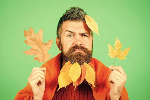 Hipster veya yeşil zemin üzerine sonbaharda sakallı adam — Stok fotoğraf
