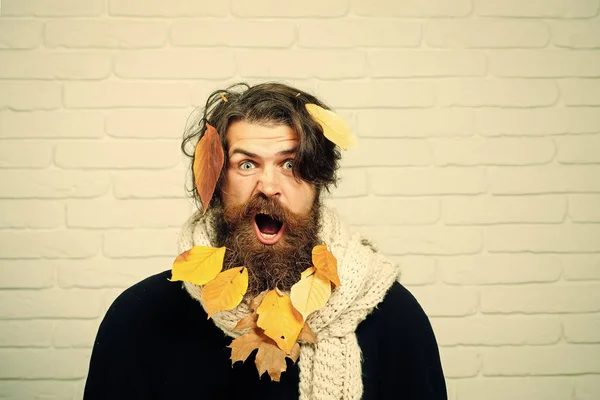 Őszi ember meglepett arcát a sárga levelek a szakáll — Stock Fotó