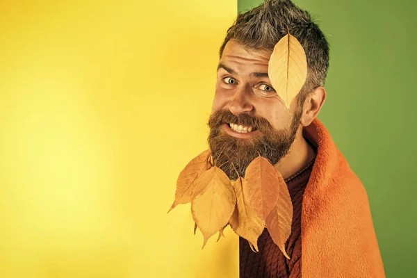 Hipster or bearded guy in autumn on green background.
