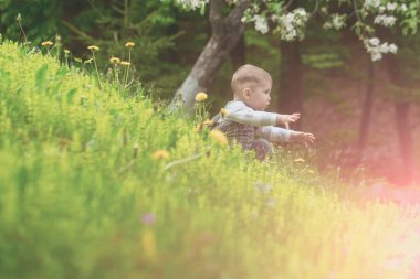 Yeşil çim güneşli günde oturan çocuk
