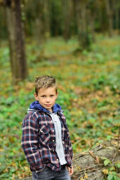 Njuter av höstens tid. Liten pojke på höstlandskap. Litet barn gå i höst skog. Liten pojke spela på frisk luft. Höst dagar är roliga dagar — Stockfoto