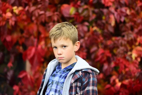 Triste e infeliz. O rapaz triste é azul no Outono. Menino pequeno com olhar triste. Criança pequena sente-se triste. Alguns dias são apenas dias tristes, isso é tudo — Fotografia de Stock