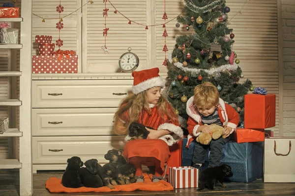 Noel mutlu çocuk köpek yavrusu. — Stok fotoğraf