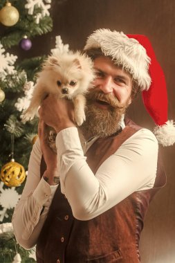 Yeni yıl köpek, adam tutun köpek yavrusu.