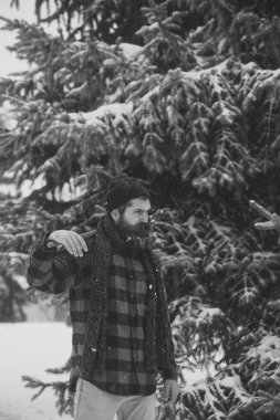 Noel hipster oduncu balta ahşap..