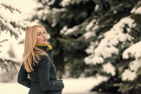 Mujer con el pelo largo y rubio en el día de invierno — Foto de Stock